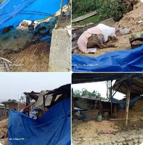 पाल्हिनन्दनमा आगलागी हुँदा लाखौंको क्षति