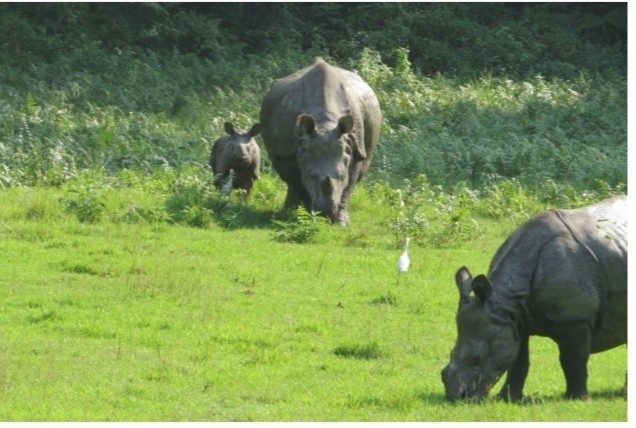 छुट प्याकेज सहित सौराहामा पर्यटकलाई स्वागत गर्न व्यवसायीहरु आतुर