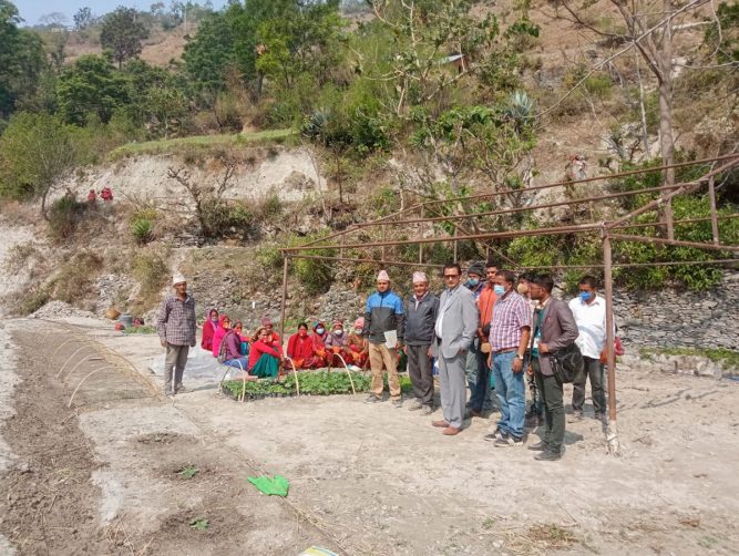 बेमौसमी तरकारी खेति तालिमले उद्धमी बनायाे