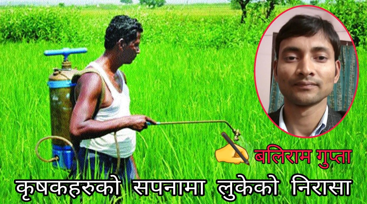 कृषकहरुको सपनामा लुकेको निरासा
