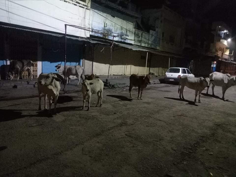 received_3251263891623696.jpeg