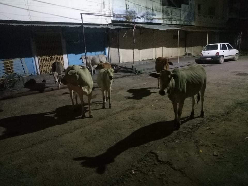 received_693406354586216.jpeg